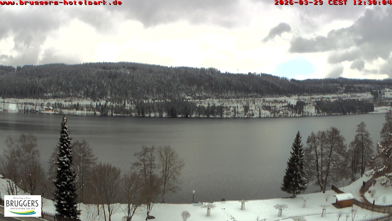 Archived image Webcam Titisee (Black Forest)