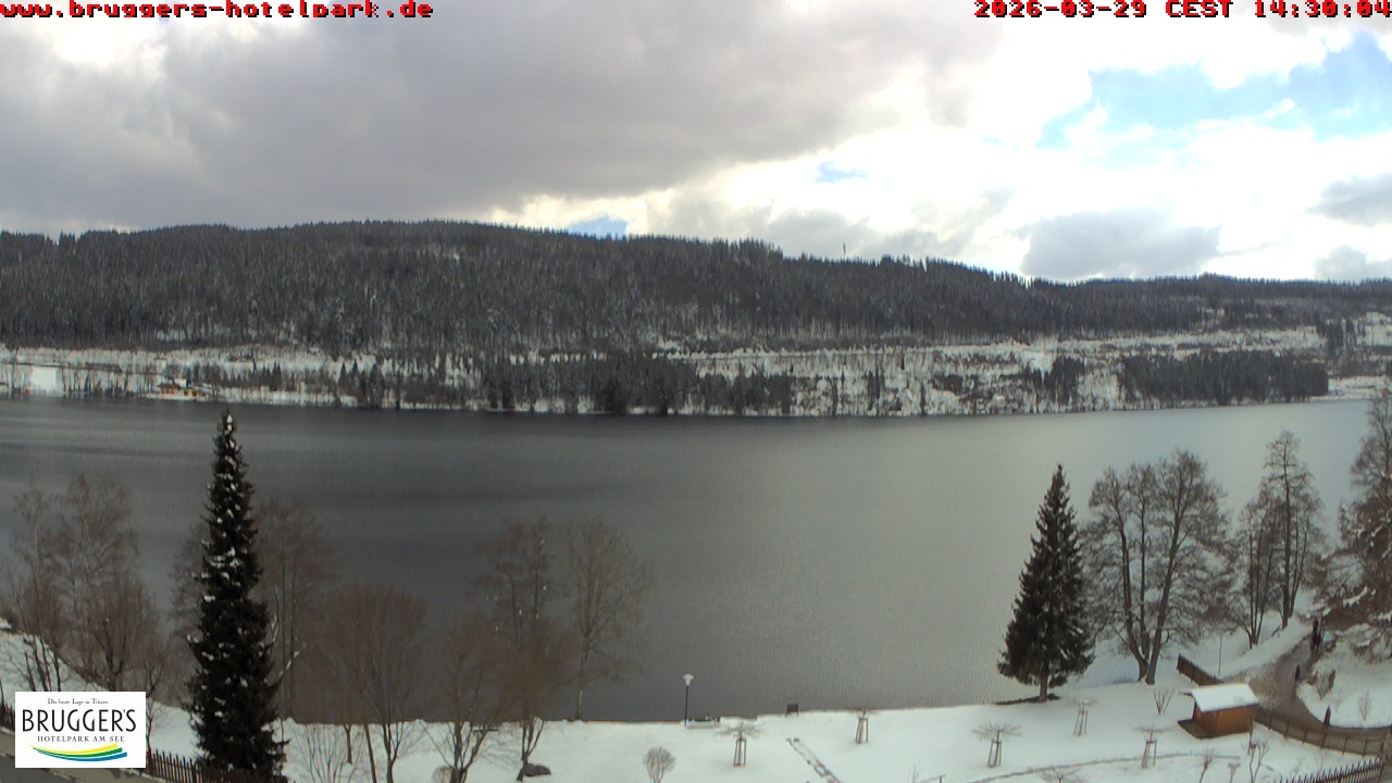 Archived image Webcam Titisee (Black Forest)