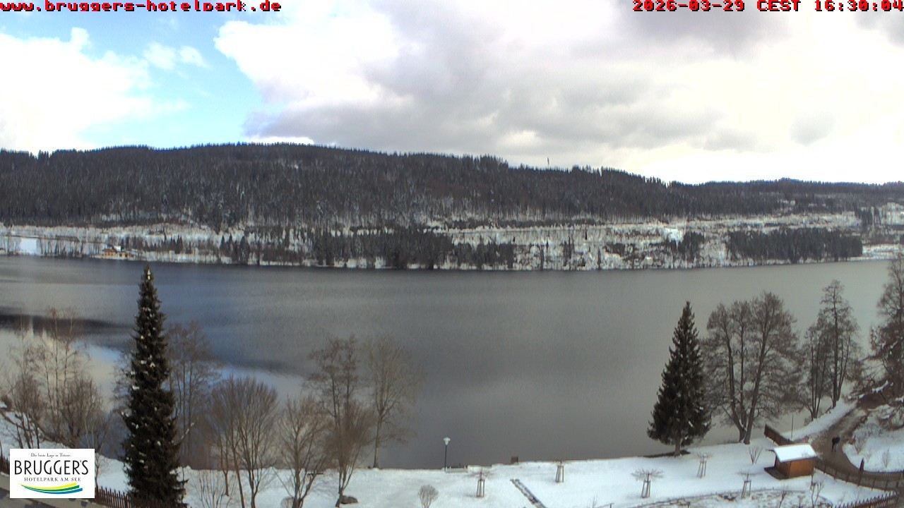 Archived image Webcam Titisee (Black Forest)