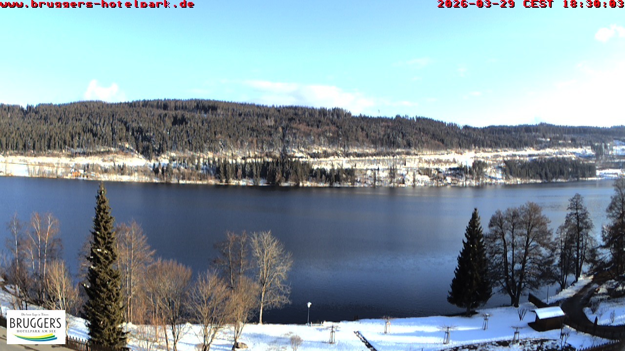 Archived image Webcam Titisee (Black Forest)