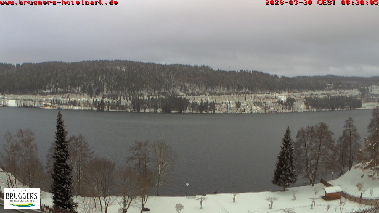 Archiv Foto Webcam Titisee im Schwarzwald