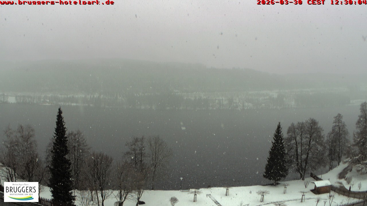 Archiv Foto Webcam Titisee im Schwarzwald