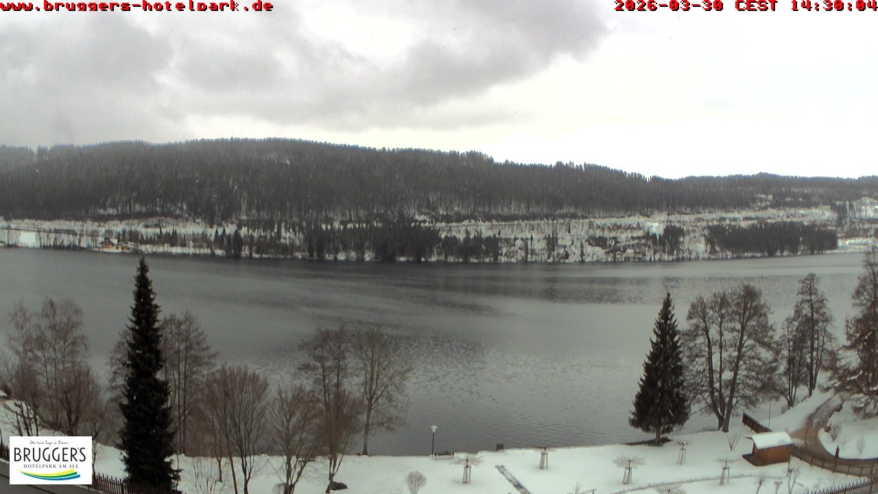 Archiv Foto Webcam Titisee im Schwarzwald