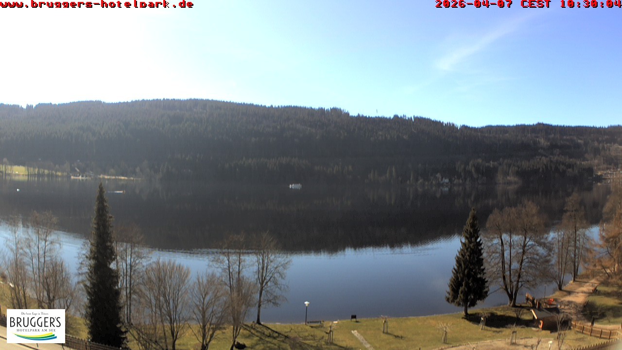 Archiv Foto Webcam Titisee im Schwarzwald