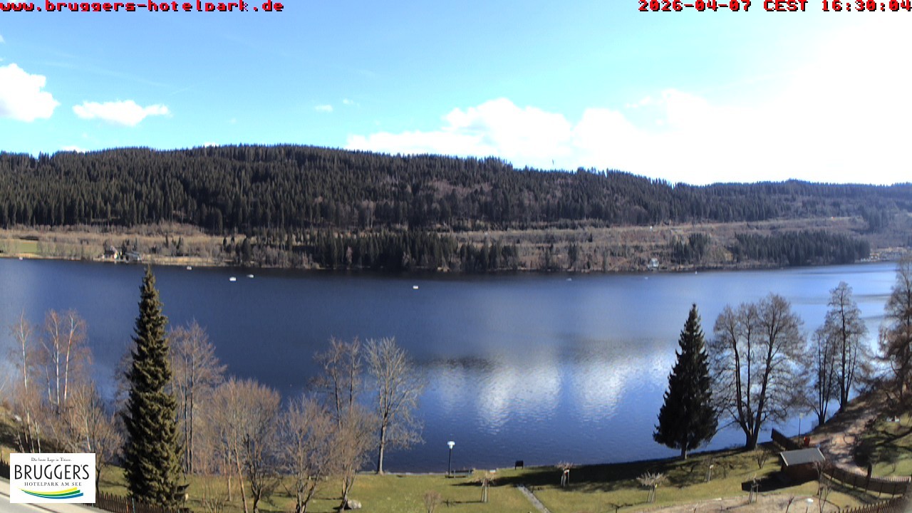 Archiv Foto Webcam Titisee im Schwarzwald