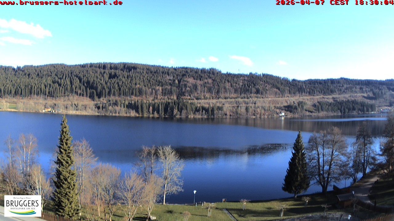 Archiv Foto Webcam Titisee im Schwarzwald