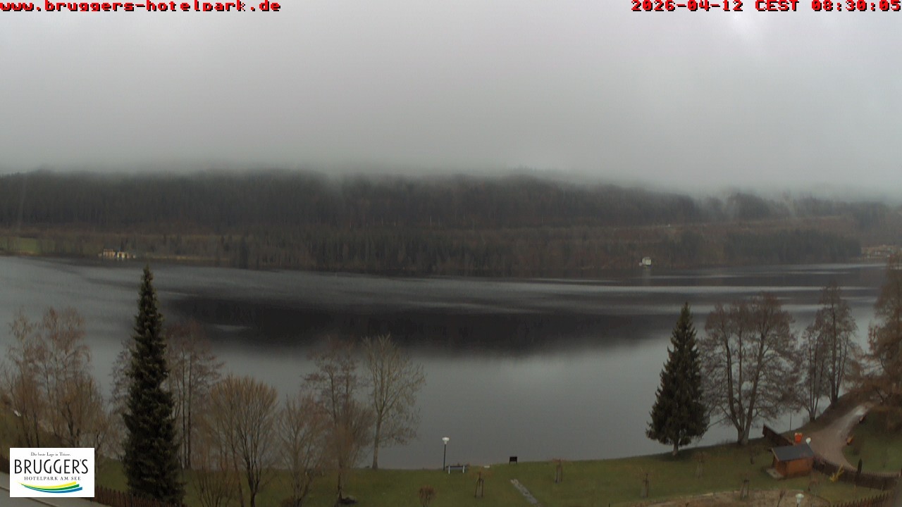 Archiv Foto Webcam Titisee im Schwarzwald