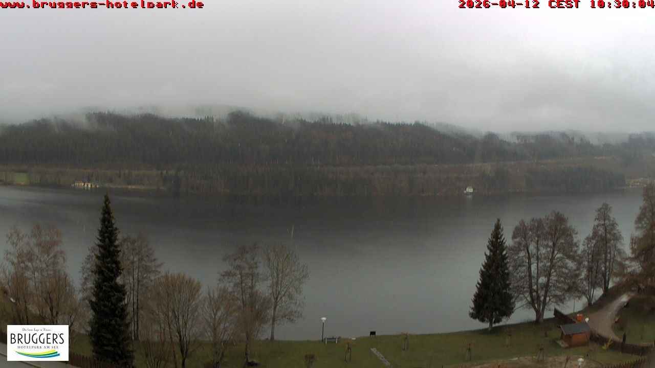 Archiv Foto Webcam Titisee im Schwarzwald