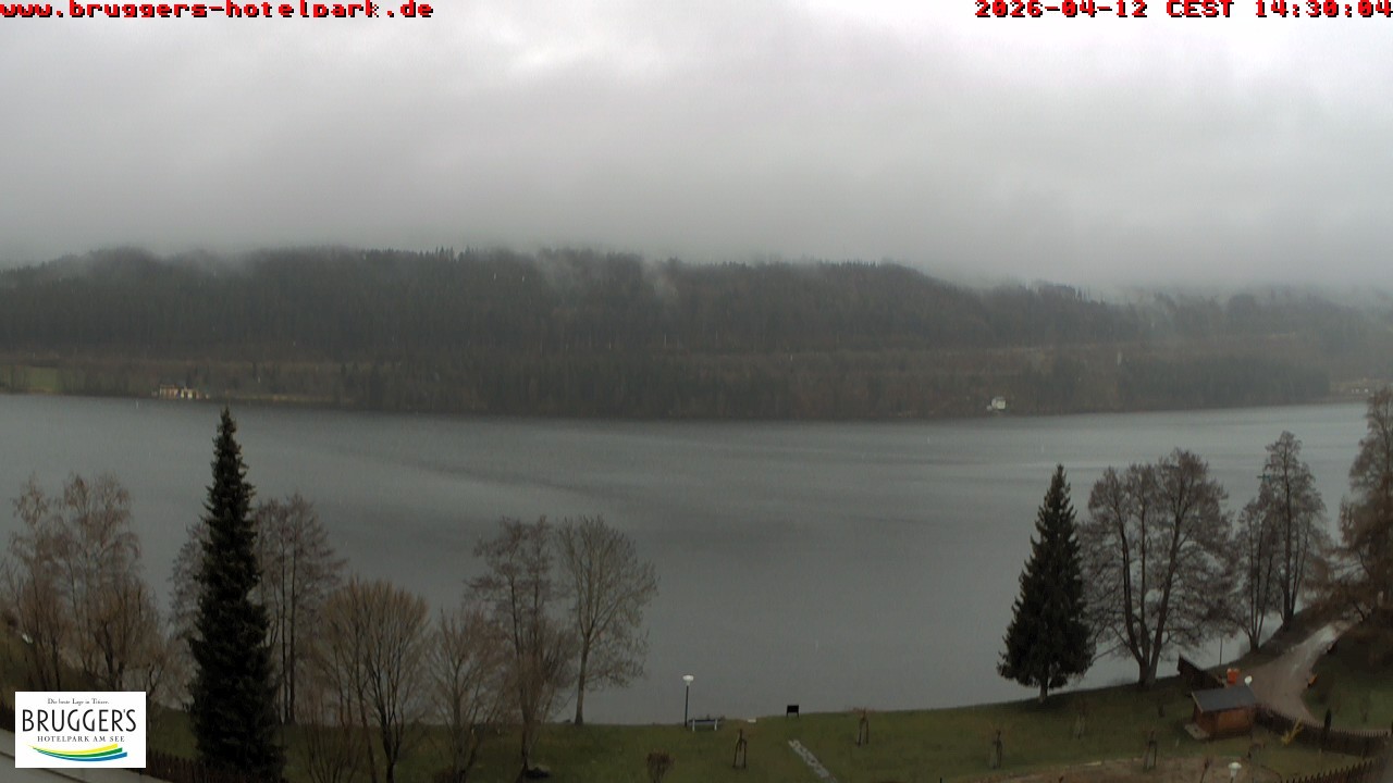 Archiv Foto Webcam Titisee im Schwarzwald