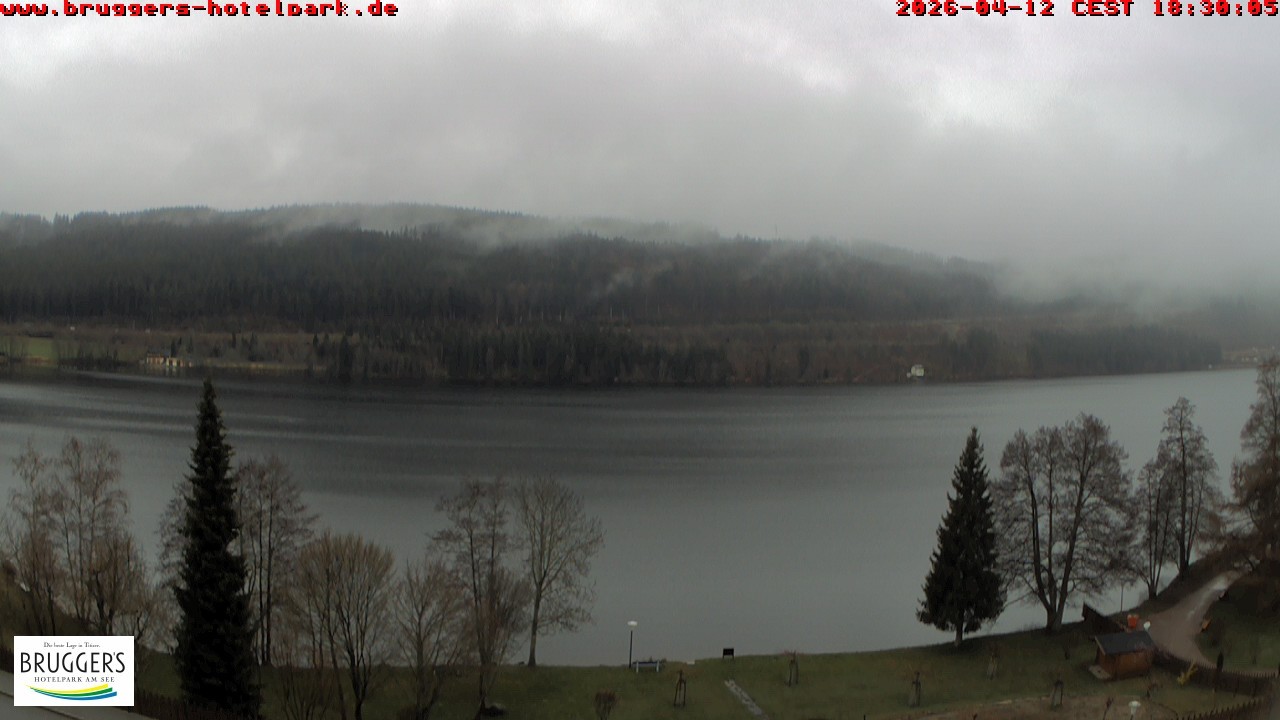 Archiv Foto Webcam Titisee im Schwarzwald
