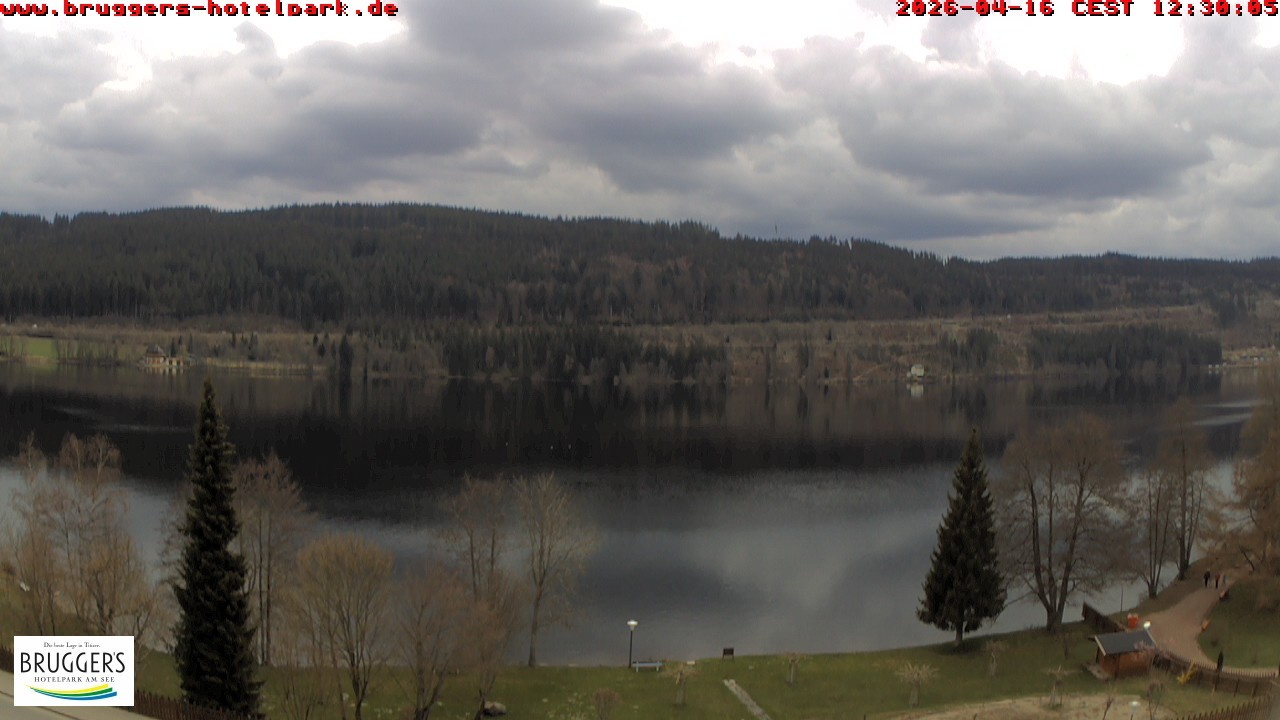 Archiv Foto Webcam Titisee im Schwarzwald