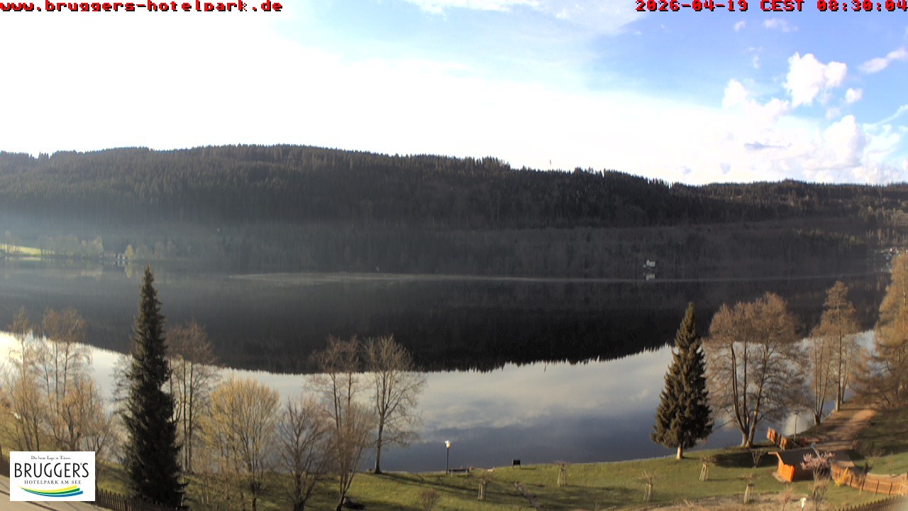 Archiv Foto Webcam Titisee im Schwarzwald