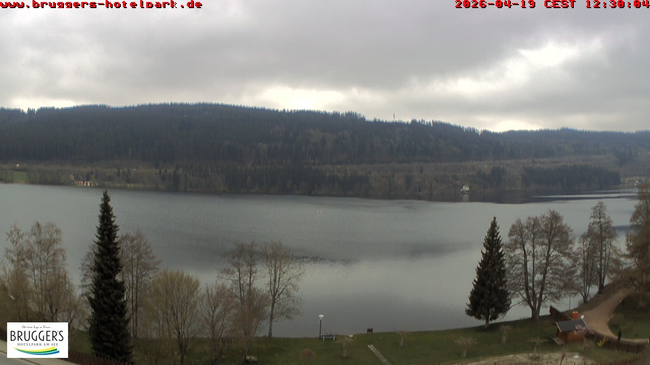 Archiv Foto Webcam Titisee im Schwarzwald