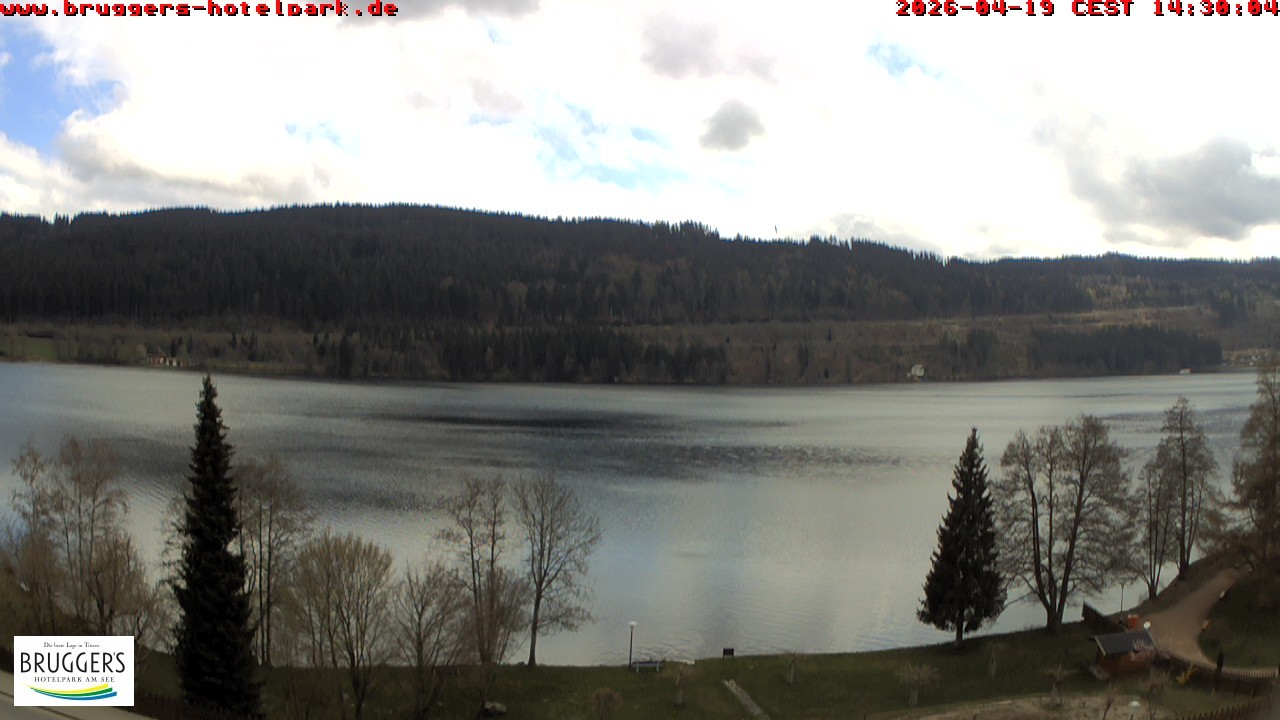 Archived image Webcam Titisee (Black Forest)