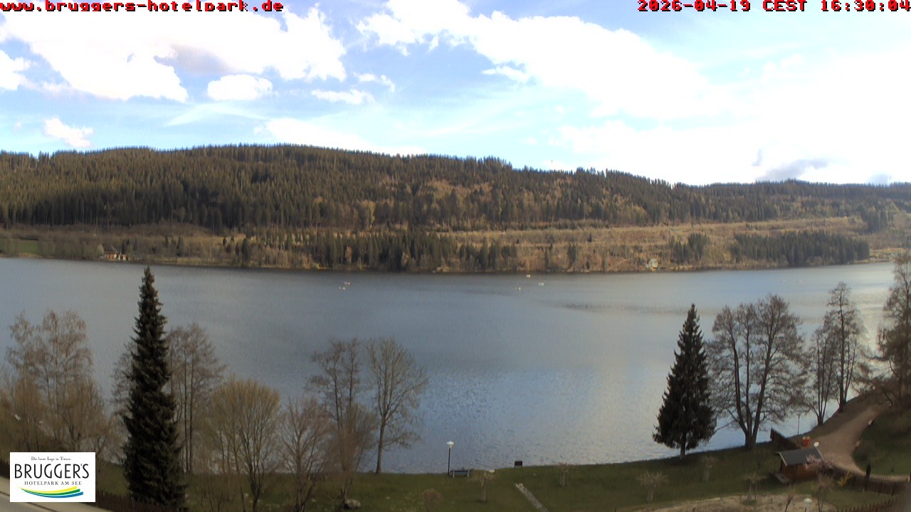 Archived image Webcam Titisee (Black Forest)
