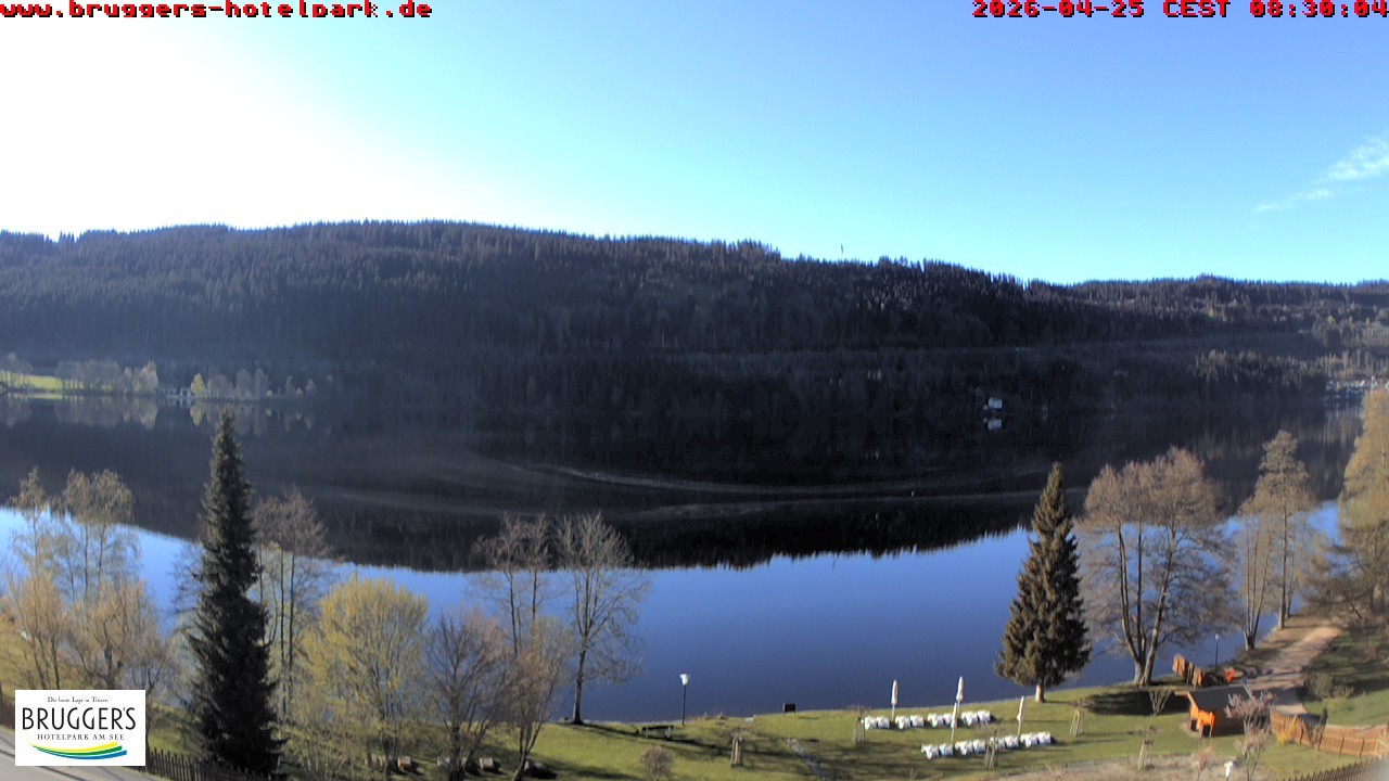 Archiv Foto Webcam Titisee im Schwarzwald