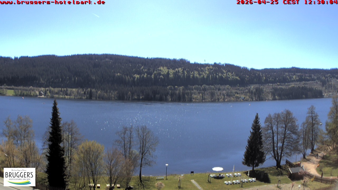 Archiv Foto Webcam Titisee im Schwarzwald