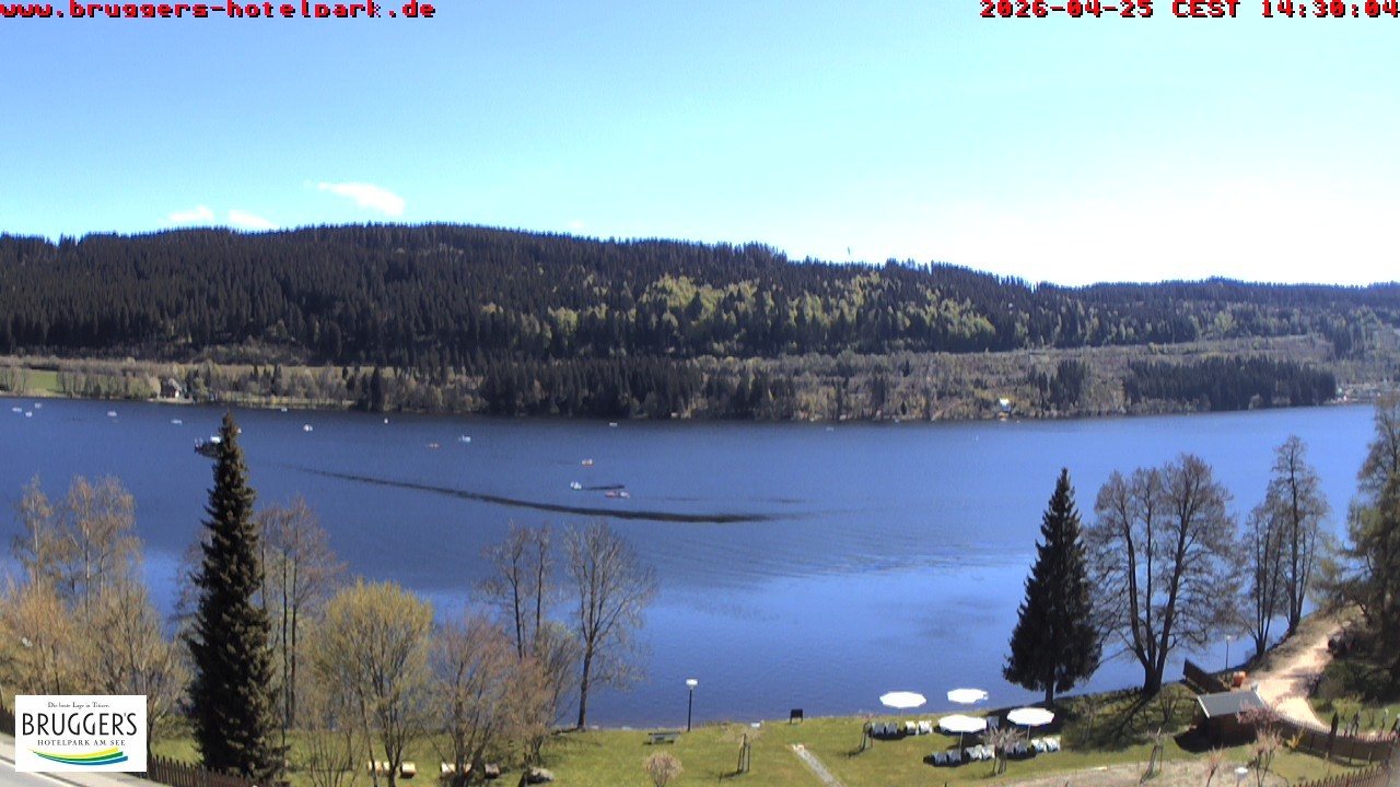 Archiv Foto Webcam Titisee im Schwarzwald