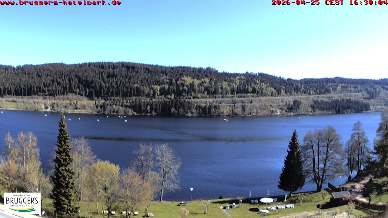 Archiv Foto Webcam Titisee im Schwarzwald