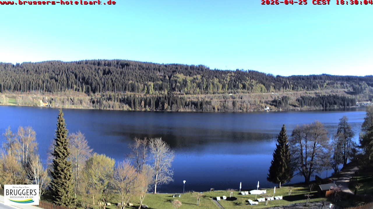 Archiv Foto Webcam Titisee im Schwarzwald