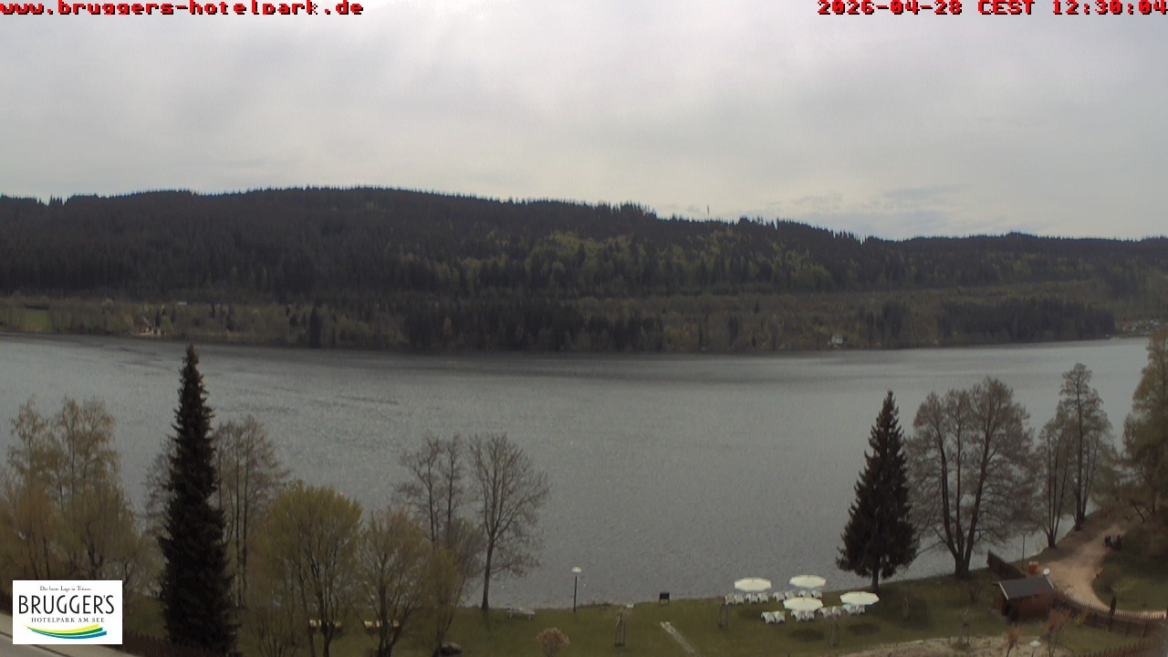 Archiv Foto Webcam Titisee im Schwarzwald
