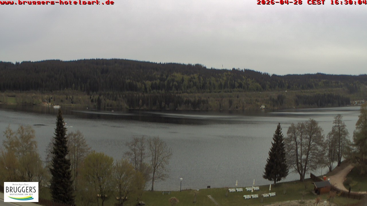 Archiv Foto Webcam Titisee im Schwarzwald