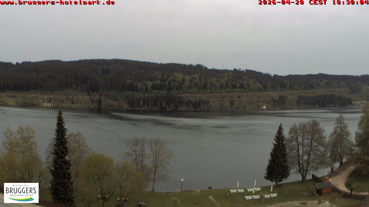 Archiv Foto Webcam Titisee im Schwarzwald