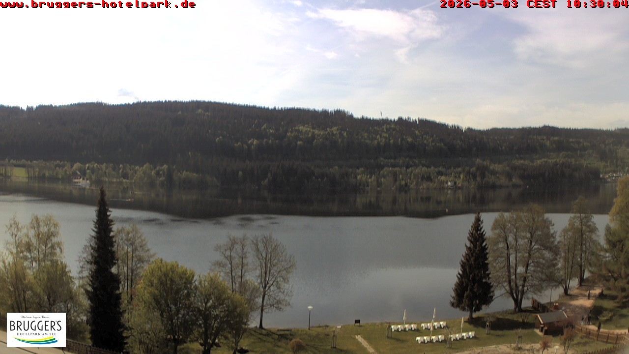Archived image Webcam Titisee (Black Forest)