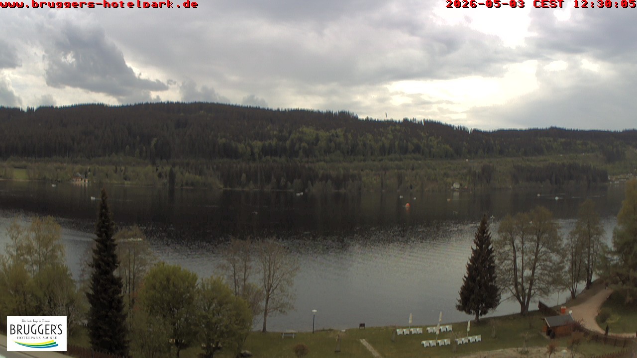 Archived image Webcam Titisee (Black Forest)