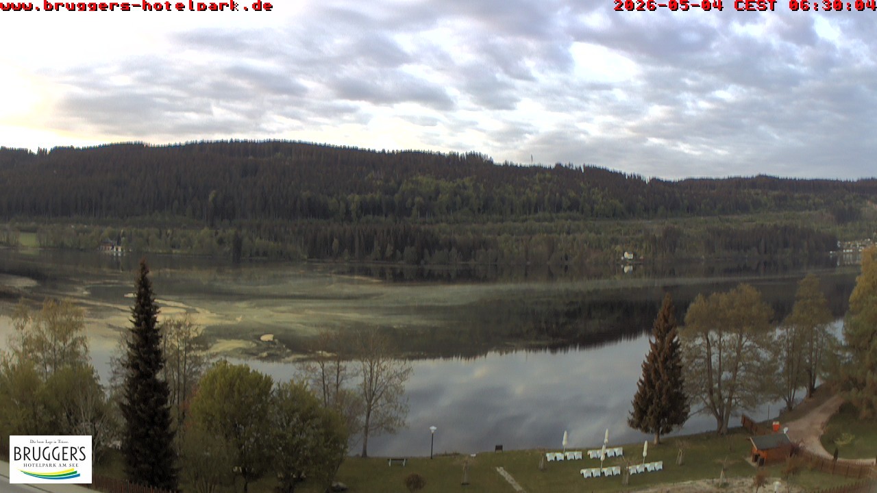 Archived image Webcam Titisee (Black Forest)