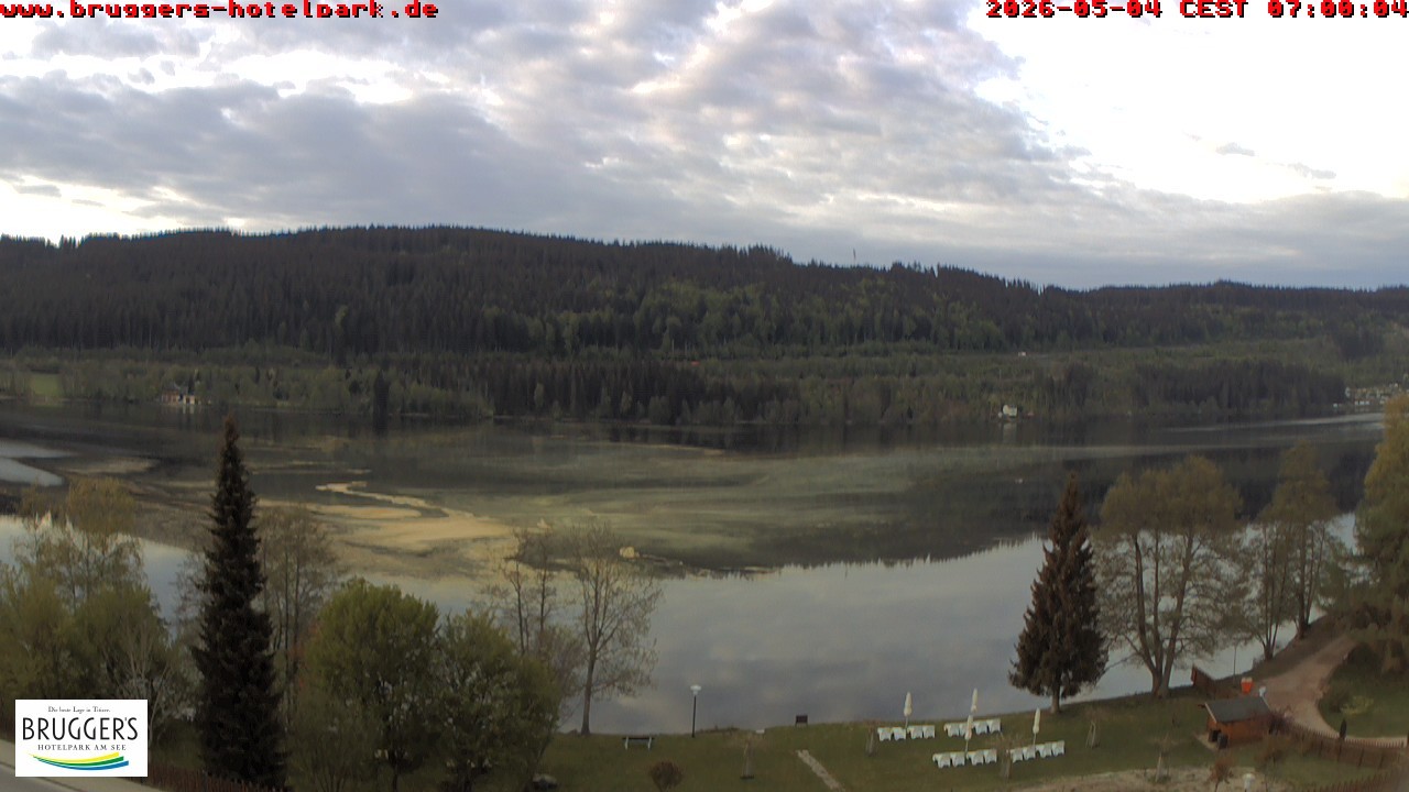 Archived image Webcam Titisee (Black Forest)