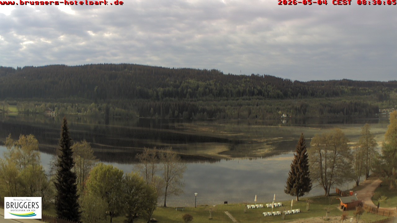 Archived image Webcam Titisee (Black Forest)
