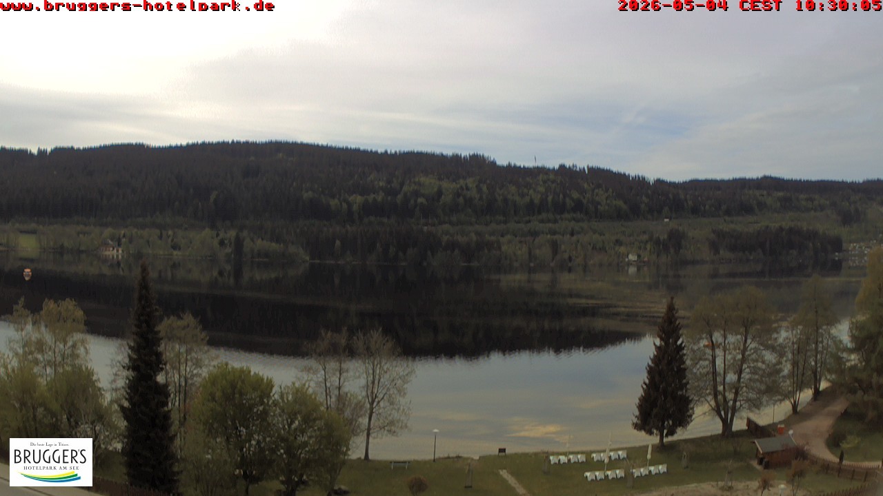 Archived image Webcam Titisee (Black Forest)