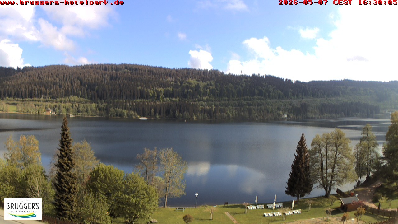 Archiv Foto Webcam Titisee im Schwarzwald