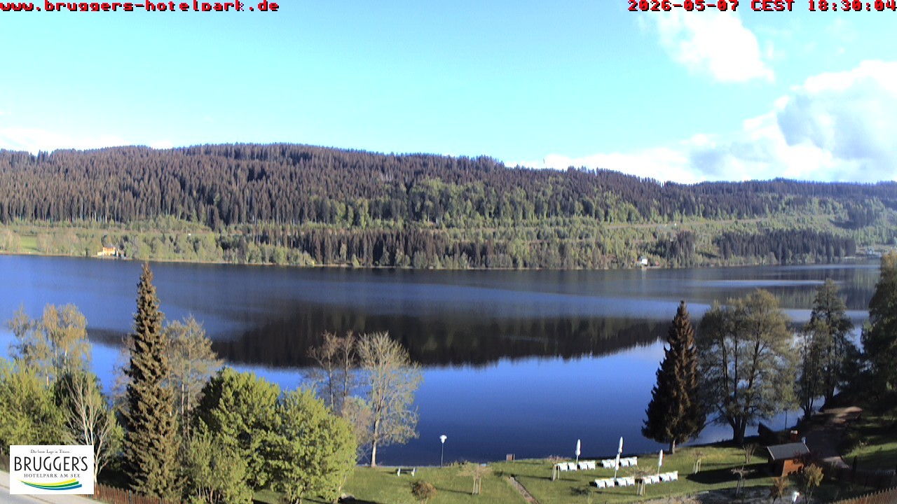 Archiv Foto Webcam Titisee im Schwarzwald