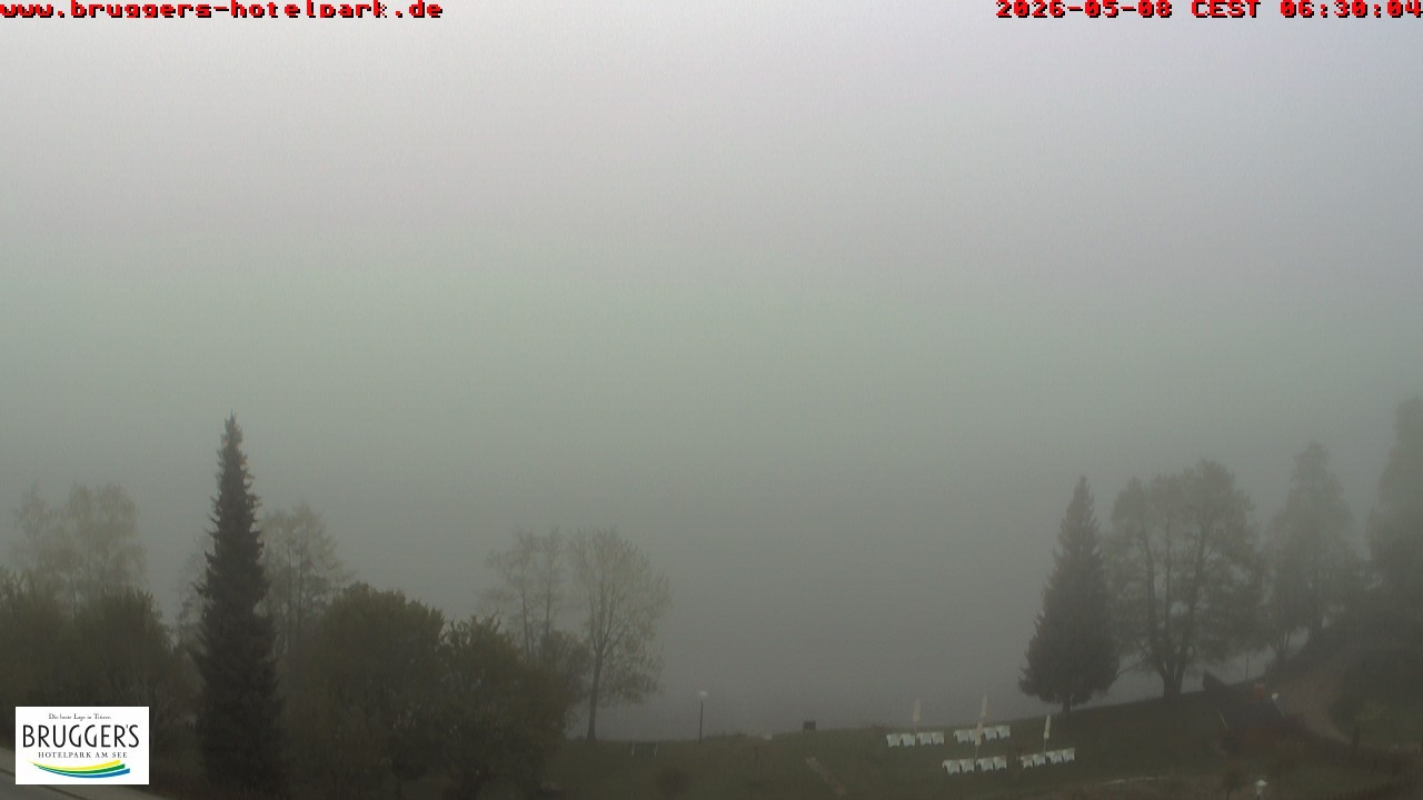 Archiv Foto Webcam Titisee im Schwarzwald