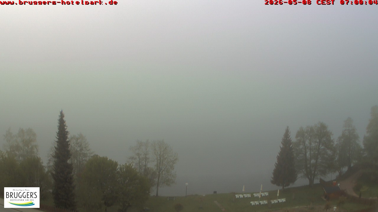 Archiv Foto Webcam Titisee im Schwarzwald