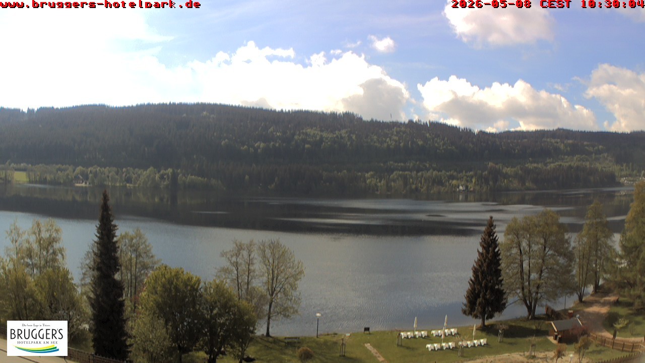 Archiv Foto Webcam Titisee im Schwarzwald