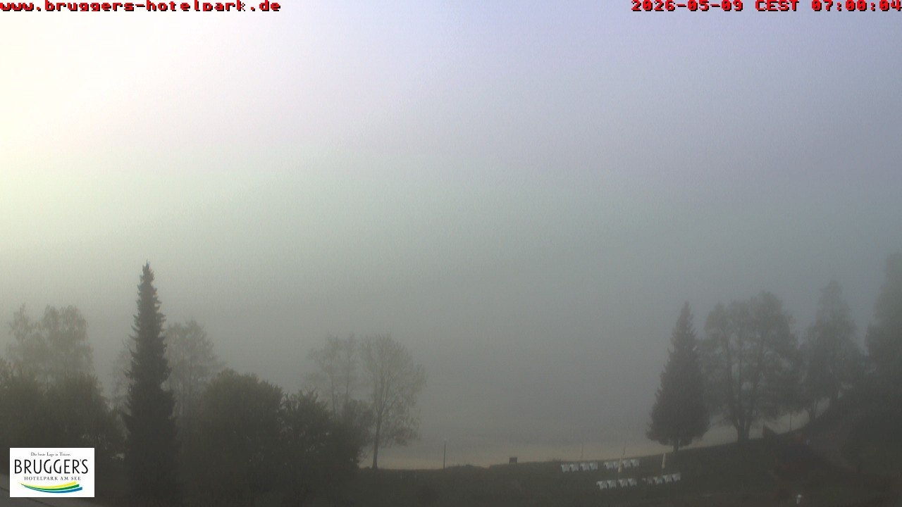 Archiv Foto Webcam Titisee im Schwarzwald