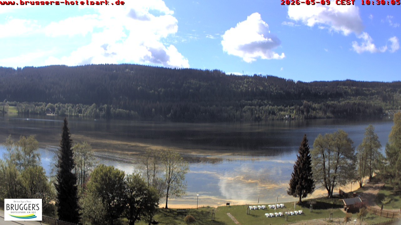Archiv Foto Webcam Titisee im Schwarzwald