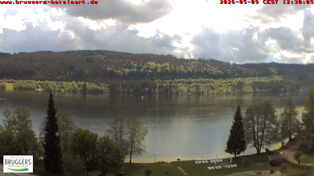 Archiv Foto Webcam Titisee im Schwarzwald