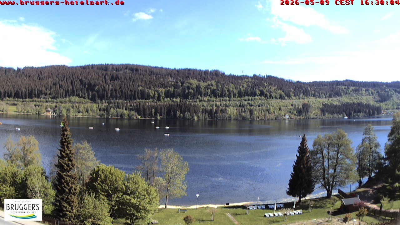Archiv Foto Webcam Titisee im Schwarzwald