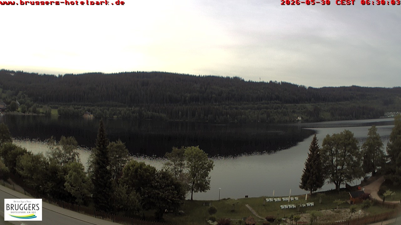 Archived image Webcam Titisee (Black Forest)