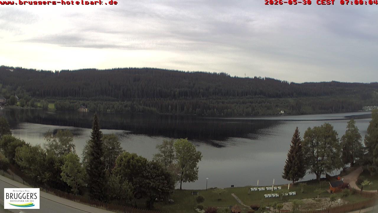 Archived image Webcam Titisee (Black Forest)