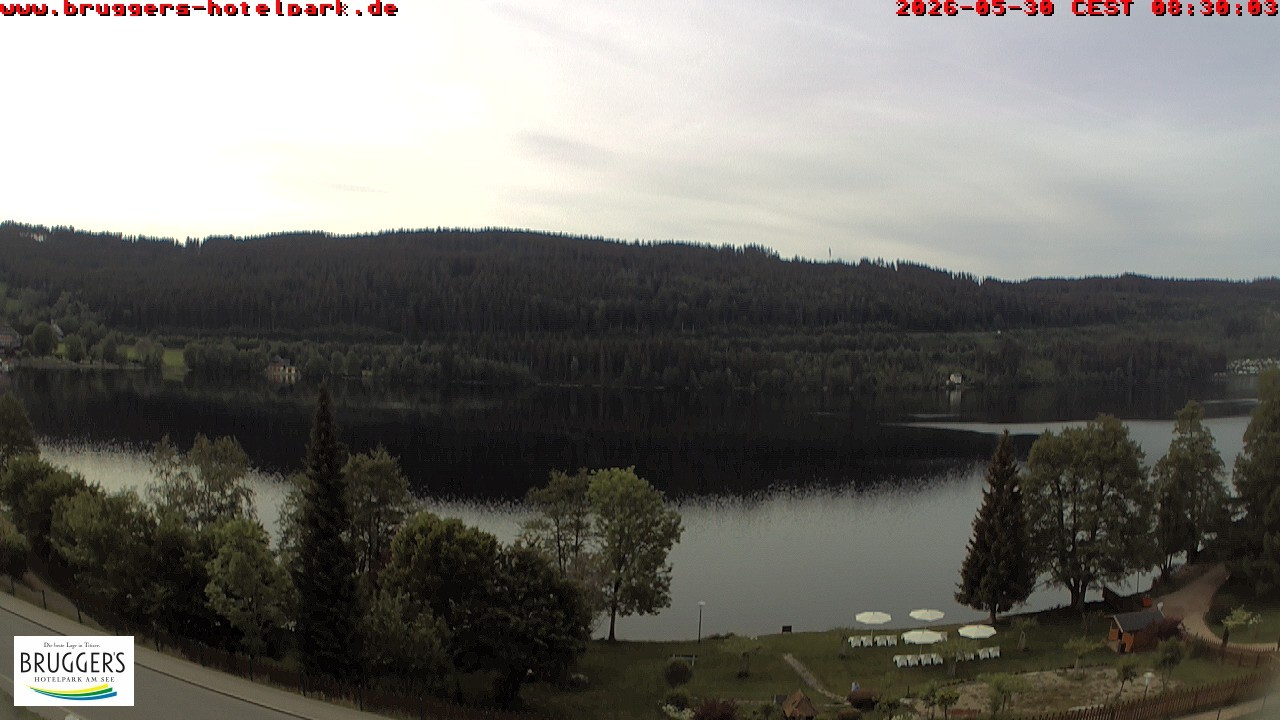 Archived image Webcam Titisee (Black Forest)