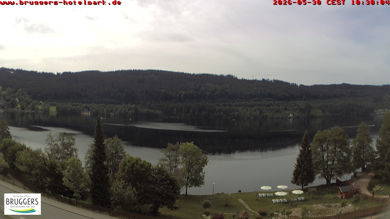 Archived image Webcam Titisee (Black Forest)