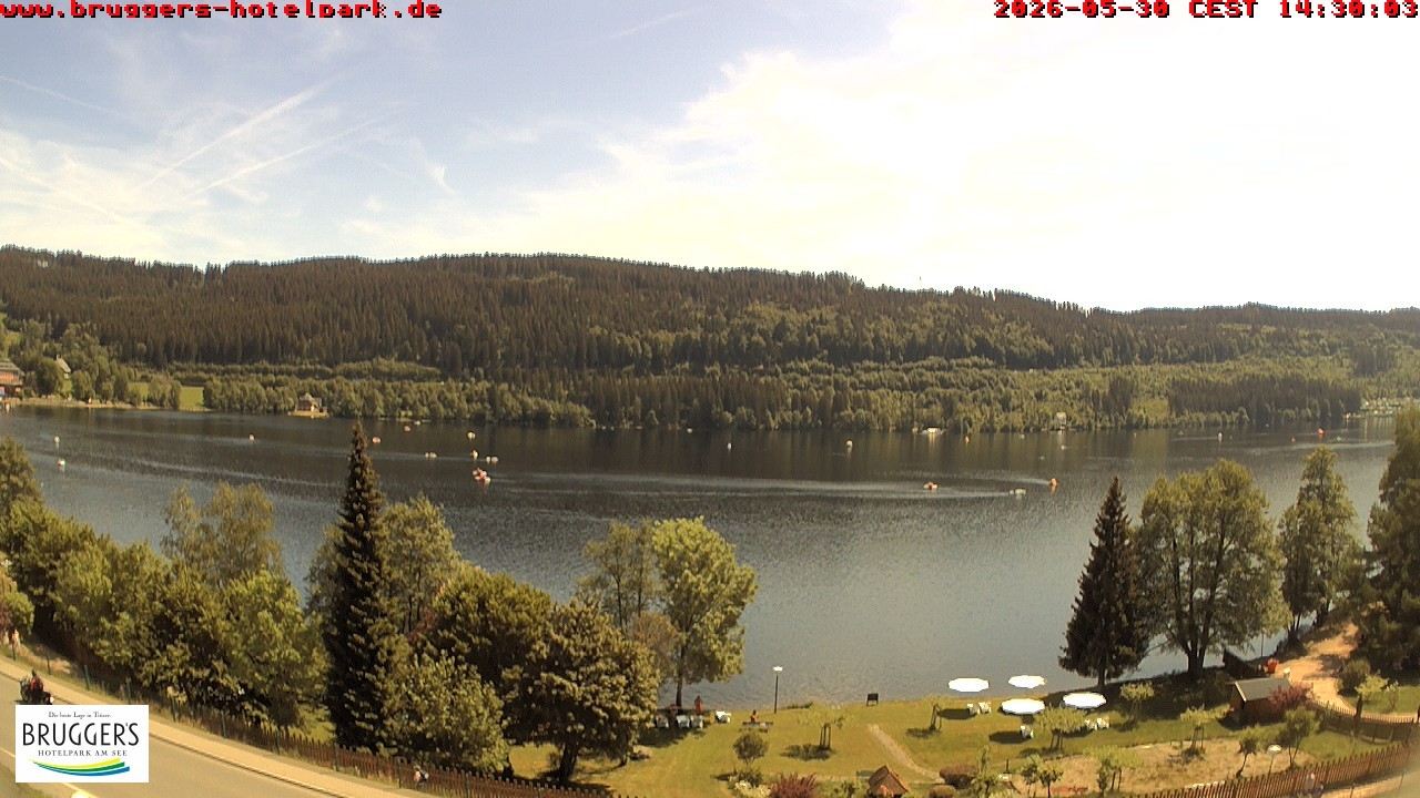 Archived image Webcam Titisee (Black Forest)