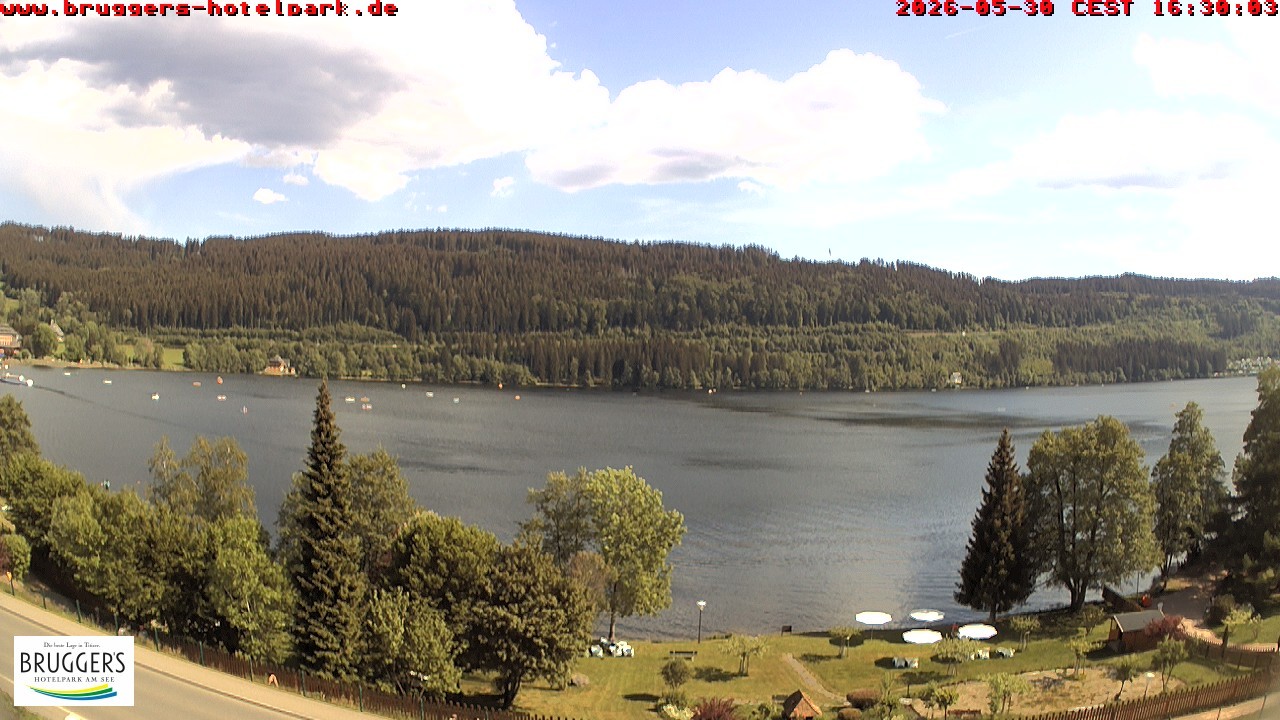 Archived image Webcam Titisee (Black Forest)