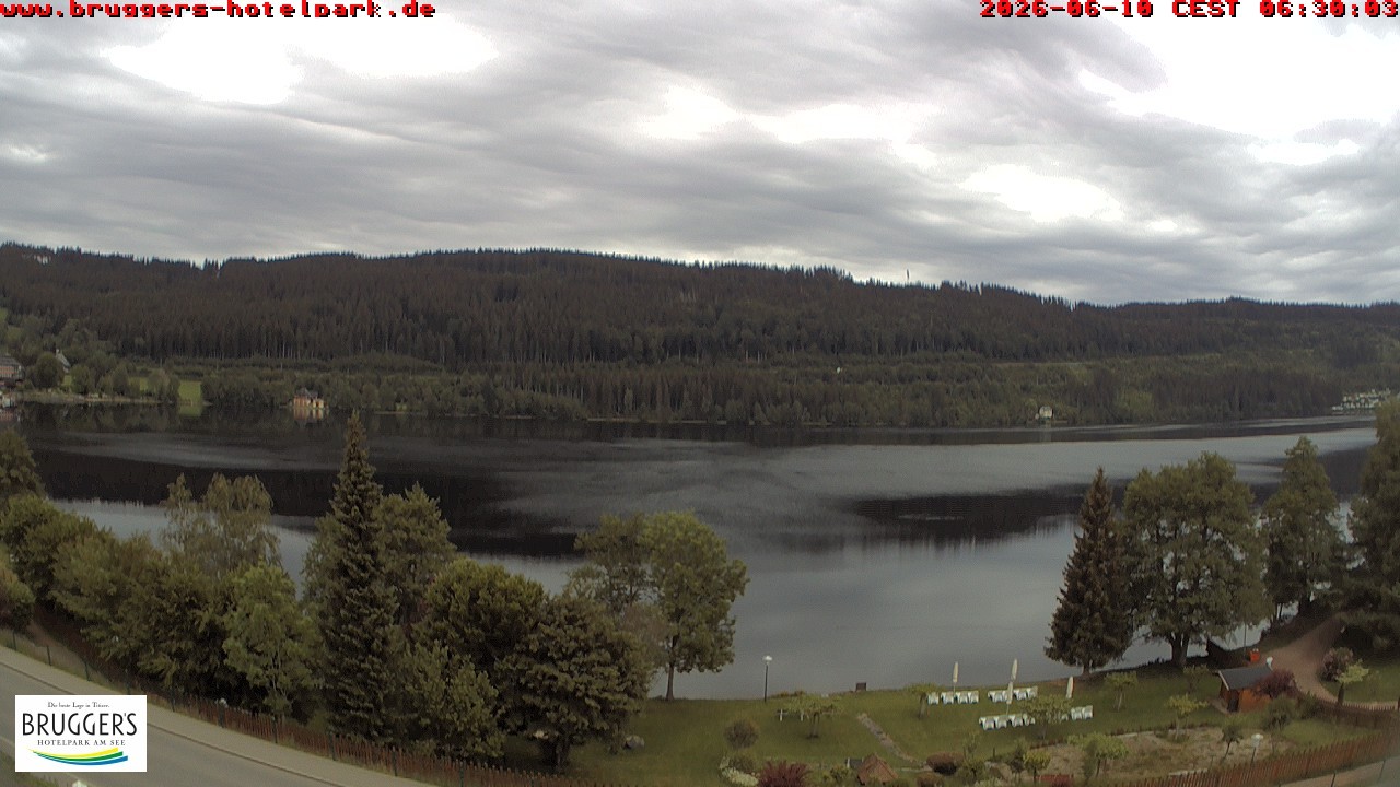 Archived image Webcam Titisee (Black Forest)