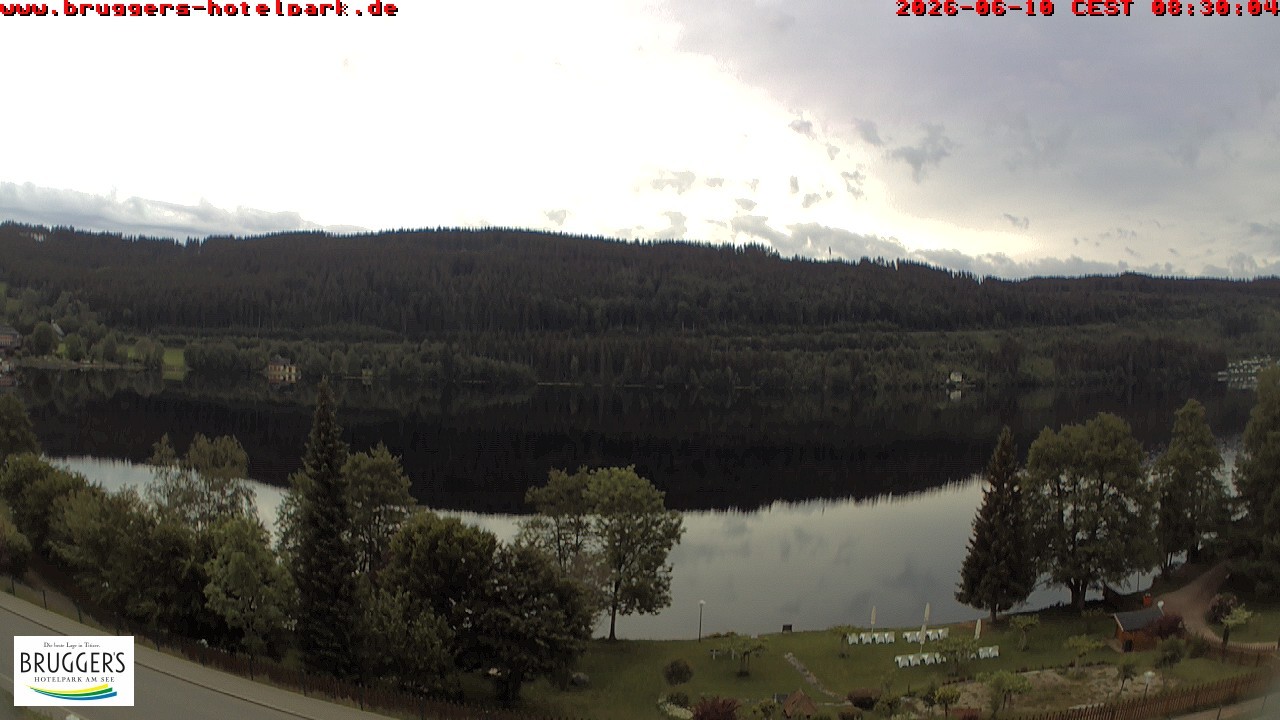 Archived image Webcam Titisee (Black Forest)